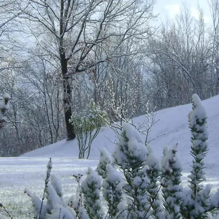 In Italy With Alpine Fireplace Tatil Evi