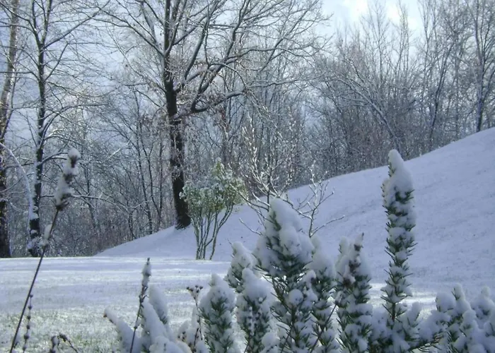 In Italy With Alpine Fireplace Дом отдыха